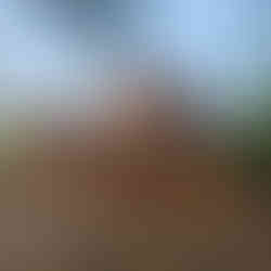 A domed medieval hall sunkissed