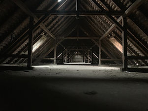 Image by Max Nüstedt