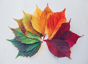 Image by Chris Lawton