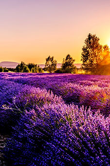 Image by Léonard Cotte