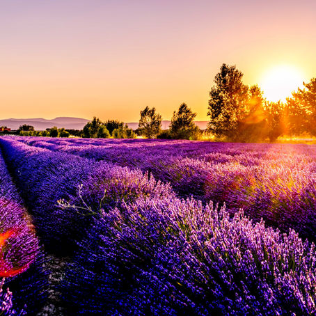 10 Unique Places to Stay in France