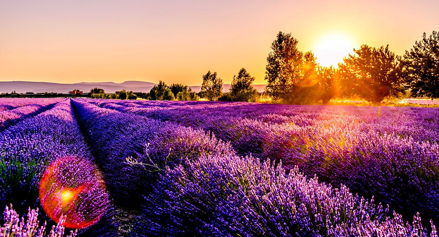 Strada della Lavanda