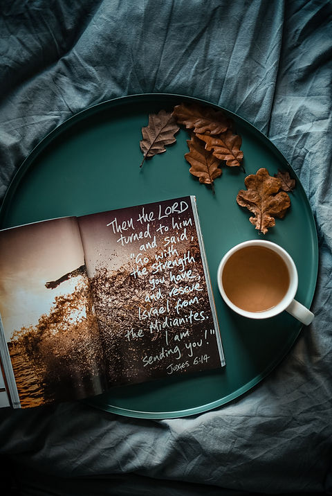 Image by Toa Heftiba