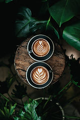 Image by Nathan Dumlao