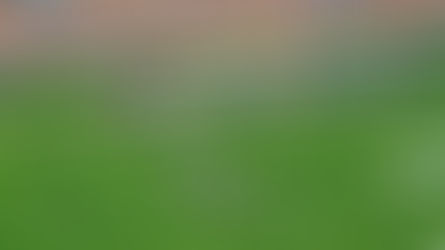 The Relationship Between Injury Rates and Winning in the National Football League (NFL)