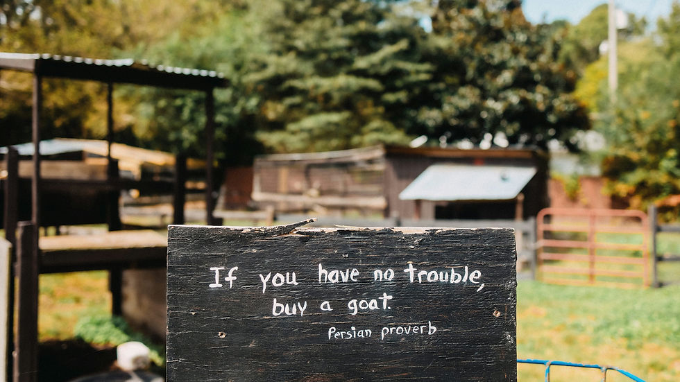 if you have no trouble, buy a goat