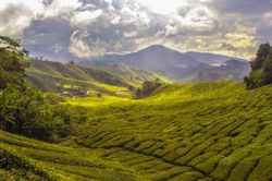 Image by Paul-Vincent Roll