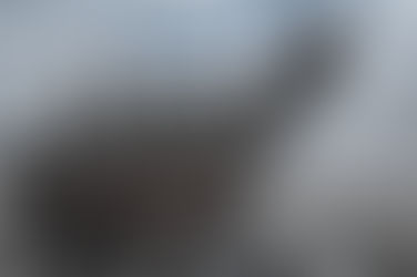 Before the Vikings: Nordic Bronze Age