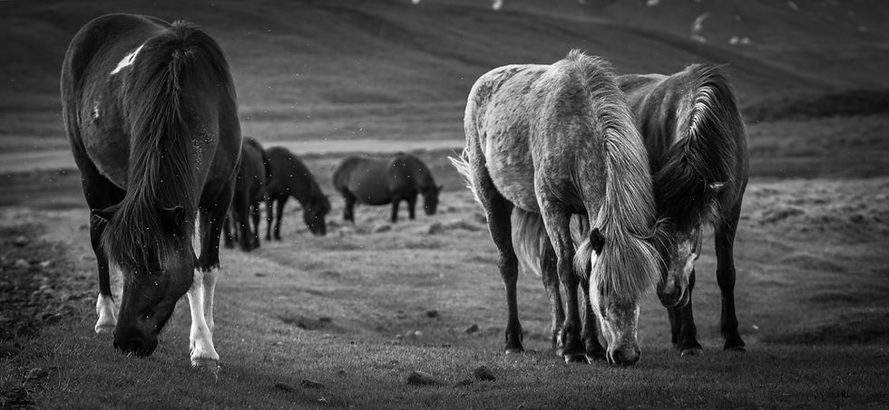 Image by Kyle Hanson