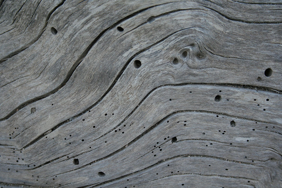 Image by Paul Engel