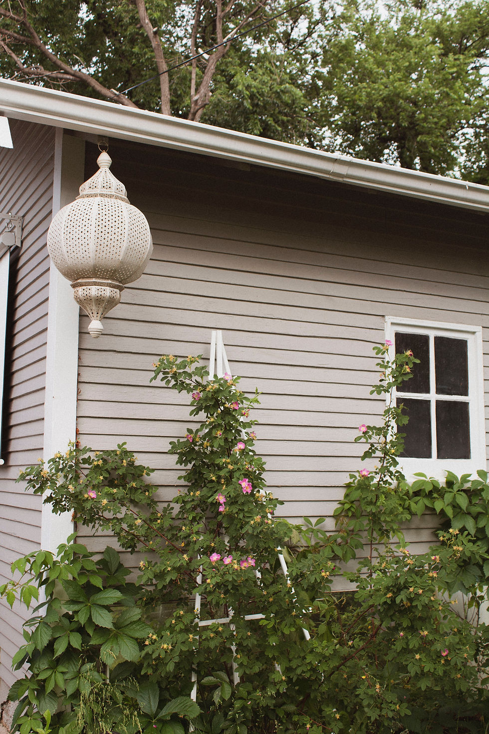 Exterior renovation for siding 1