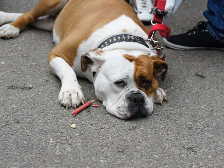 ヒマを、あげる。