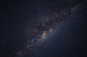 Image by Max McKinnon