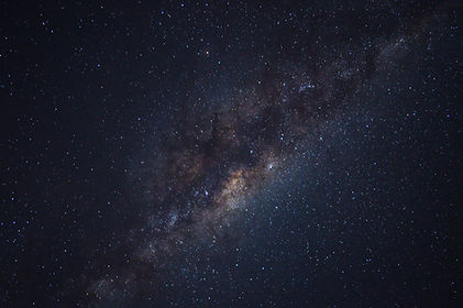Image by Max McKinnon