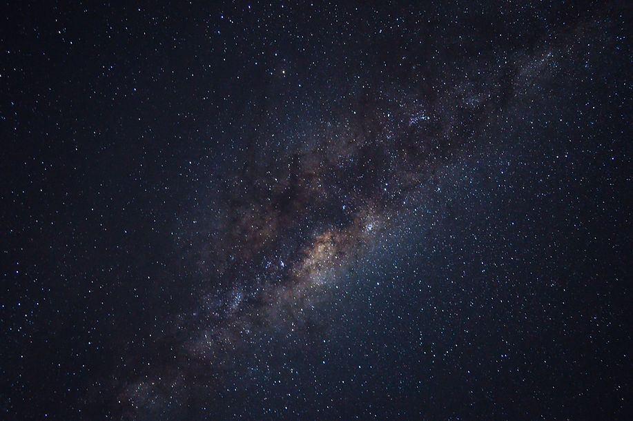 Image by Max McKinnon
