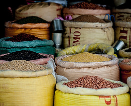 Pulses and Grains