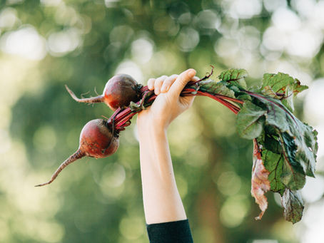 Eating With The Seasons: Fall Produce Guide