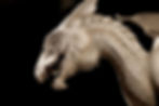 Dragon magic :Image by Alyzah K