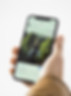Image by Thought Catalog