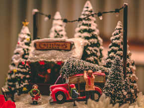 Oh Tannenbaum,...