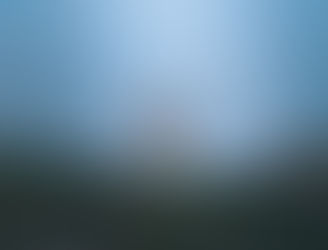 Acompañamiento psicológico tras la pérdida de tu gato