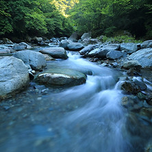 Amy Outman Watershed Practice
