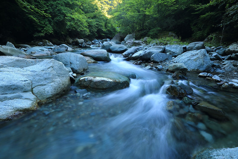 sydney-counselling-and-psychology-services