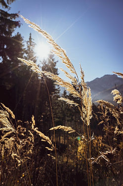 Image by Tim Hüfner