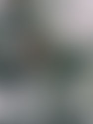 How To Guide - Making the most of the last 8 weeks