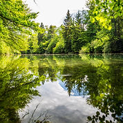 Image by Daniel Vogel