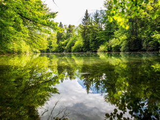 Parting the Pond 