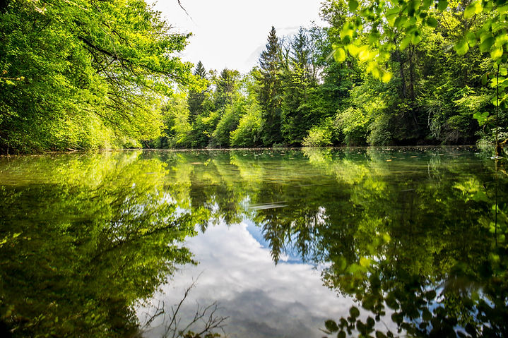 country pond