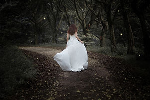 Image by Kenny Luo