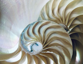 Image by Giulia May