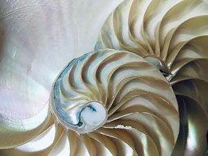 Image by Giulia May