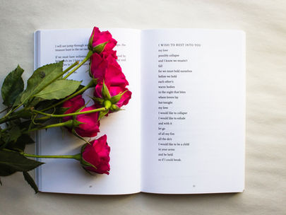 How I Transformed an Amateur Poetry Love to a Thriving Literary Publishing House