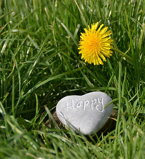 Image by Szilvia Basso