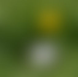 What MOG Staffers Are Doing More of in 2026