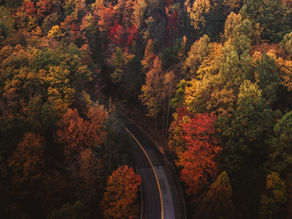 From Summer to Fall: Helping Your Body Adjust to the Change of Season