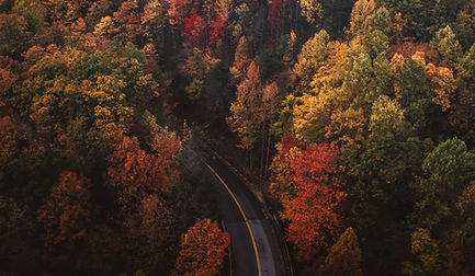 Image by Chad Madden
