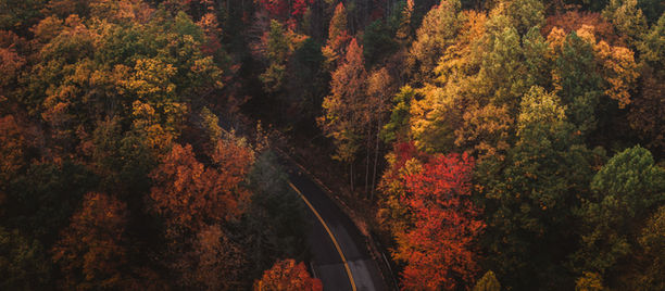 Best places to see Fall colours in Newfoundland