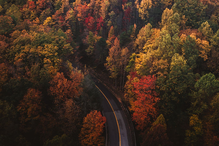Image by Chad Madden