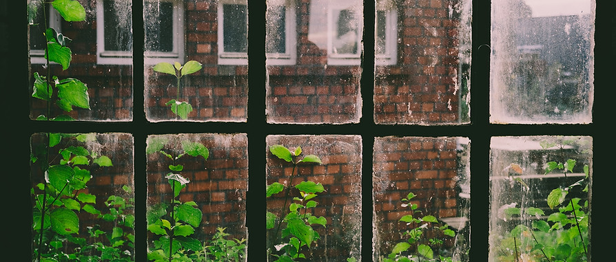 Image by Jens Lindner