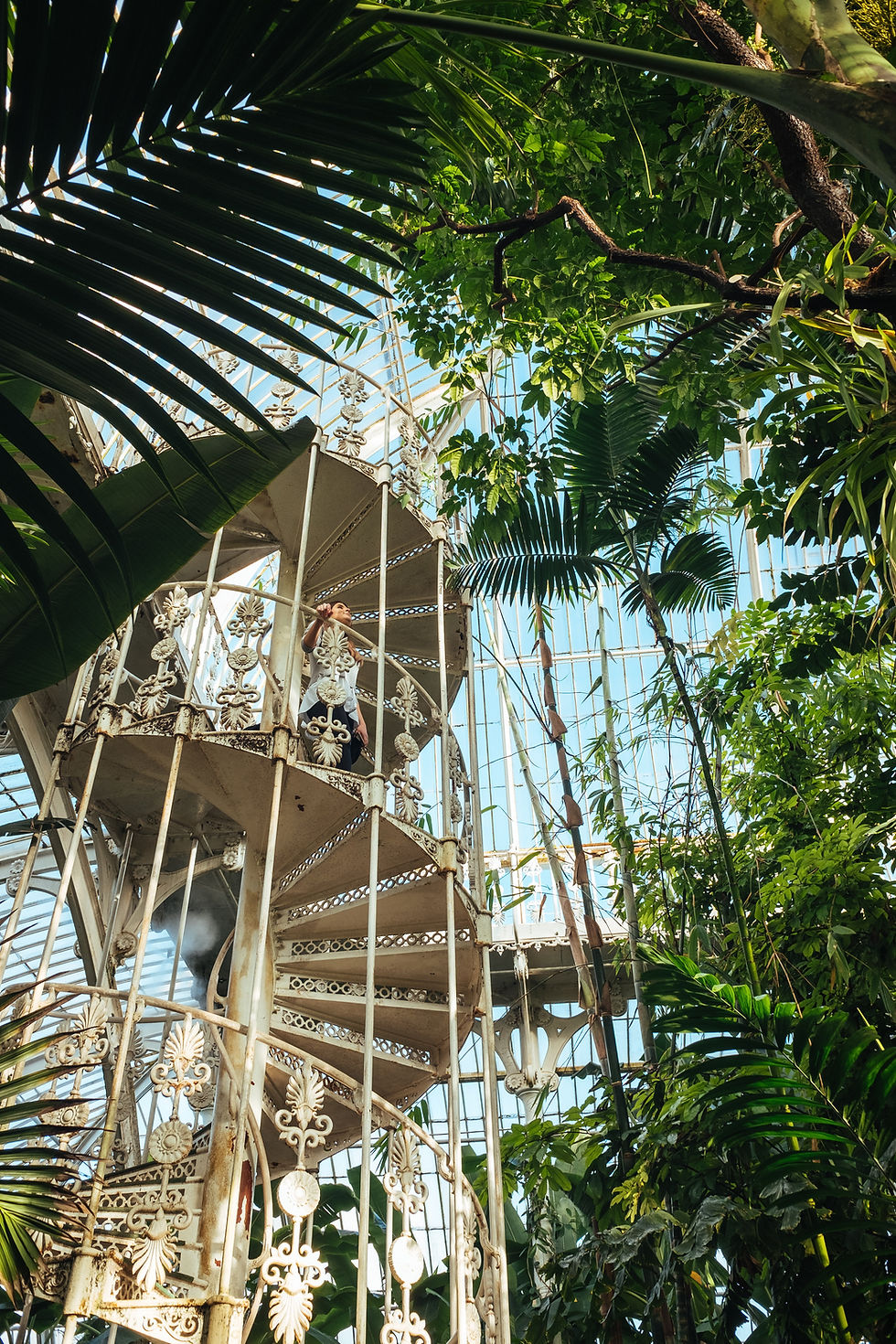 The History & Highlights of Kew Gardens