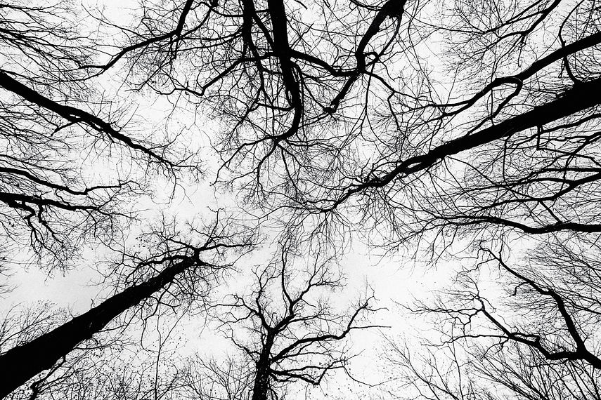 Image by Markus Spiske