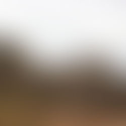 Nehemiah in 15 Sermons