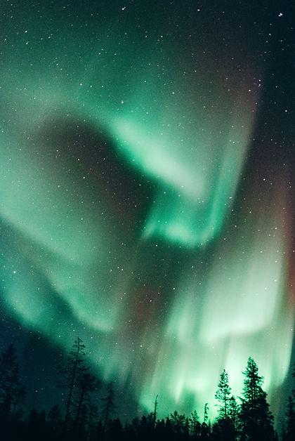 Image by Lucas Marcomini