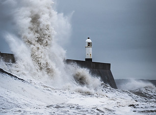 Image by Marcus Woodbridge