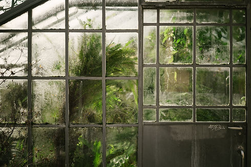 Image by Johannes Hofmann
