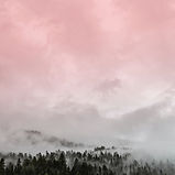 Image by eberhard grossgasteiger